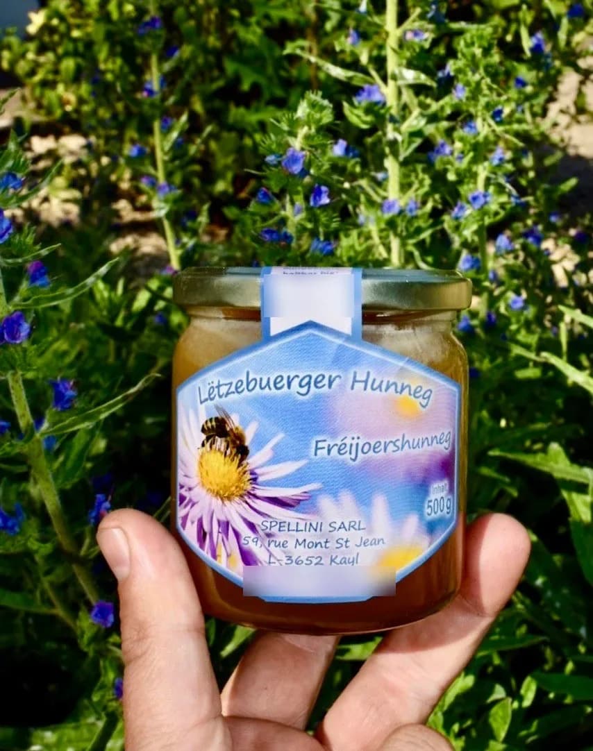 Pot de miel de printemps étiqueté Spellini Sàrl, tenu à la main devant un massif de vipérines en fleur