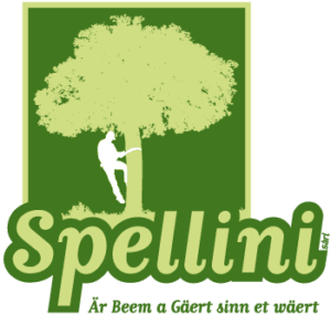 Logo Spellini - Aménagement extérieur Luxembourg