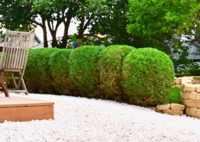 Entretien jardin élagage au Luxembourg
