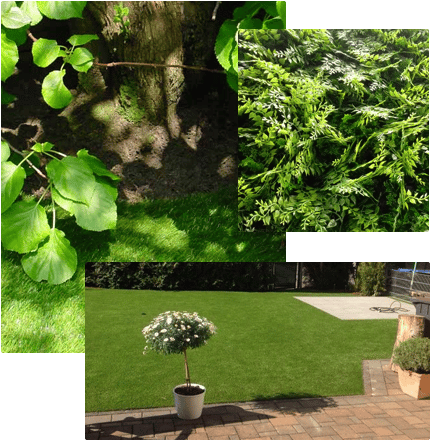 ResiGrass