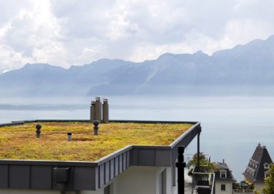 Aménagement extérieur Luxembourg toiture végétale 10