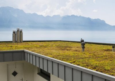 Aménagement extérieur Luxembourg toiture végétale 11
