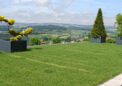 Aménagement extérieur Luxembourg toiture végétale 2