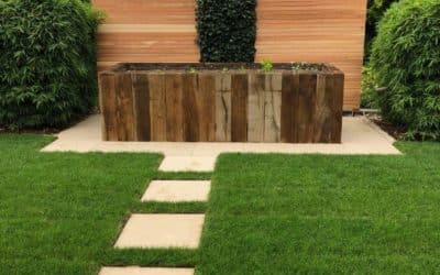 Comment restaurer sa pelouse après une sécheresse