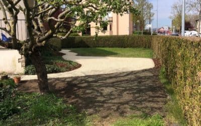 Chemin élégant d’un jardin et pose de bordures en pierre naturelle