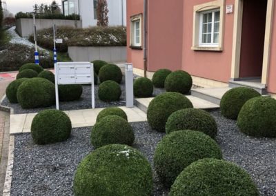 Aménagement de haies
