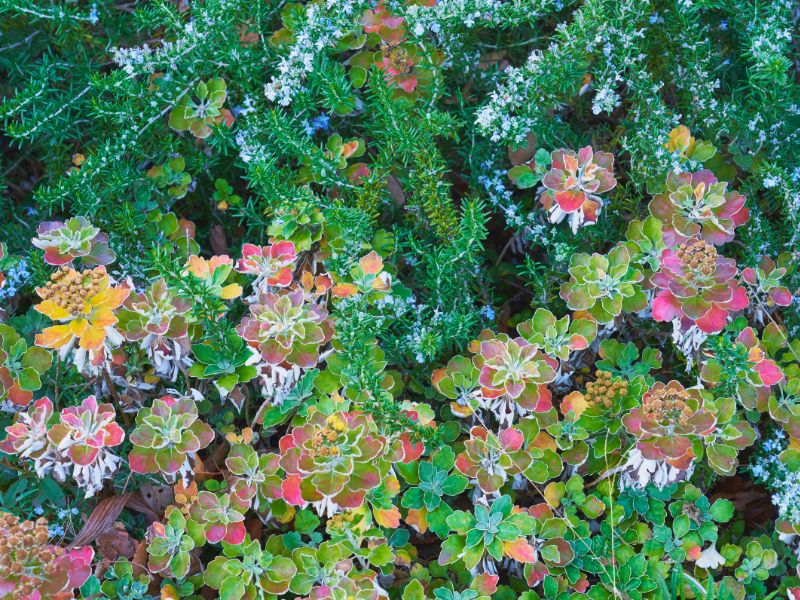 Votre jardinier, l’allié indispensable avant l’hiver